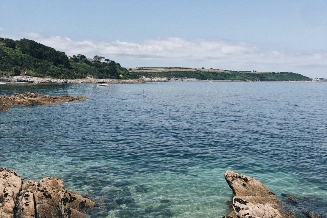 Rock Samphire: A Hidden Gem of the British Coastline